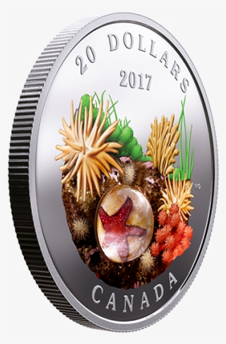 Under The Sea - Wall Clock