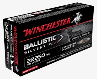 Sbst22250b Box Image - Winchester Ballistic Silvertip 30 30