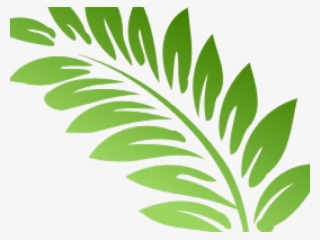 Fern Clipart Transparent Background - Hibiscus Clip Art