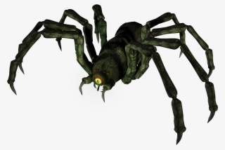 Spoiler Alert, Click Show To Read - Wiki