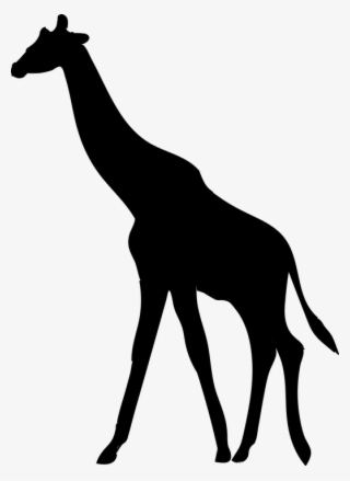 Giraffe Silhouette Png - Silhouet Giraffe