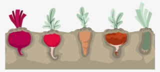 The Mayo Prescription For Good Nutrition - Illustration