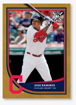 Close Zoom - College Softball