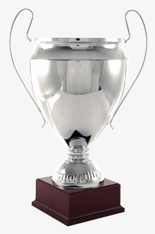 Trofeos Anna-dos - Copas De Plata Png