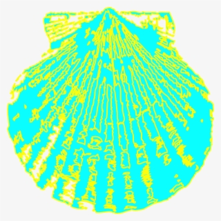 Shell Svg Clip Arts 600 X 601 Px