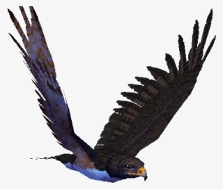 Great Animated Eagle Gifs At Best Animations - Flying Hawk Animated Gif