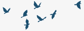Bird Gif Png - Bird Flying Gif Png