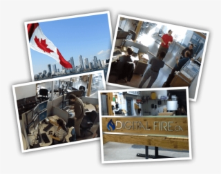 Network Consultants - Mississauga