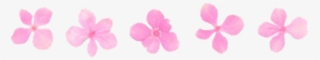 Flower Pink Pastel Pale Tumblr Png Editpng - Yellow Instagram Theme Divider