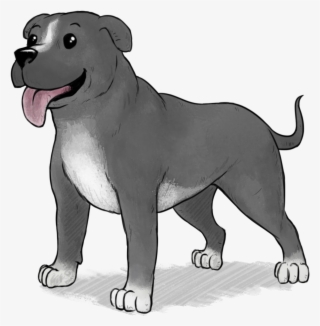 Medium Dog - Pit Bull