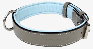 Dog Collar Png - Collar