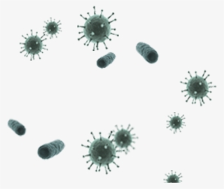 Germs - Virus