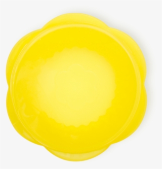 Tampinha De Conservação - Ghaznavid Flag