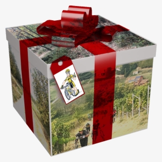 Regalo - Summer Infant Ultimate Body Comfort Pillow