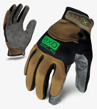 Armour Safety Products Ltd