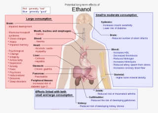 Better Diagram Of Alcohol Health Problems - Effects Of Ethanol