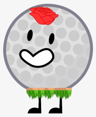 Hawaii Golf Ball - Golf Ball Bfdi