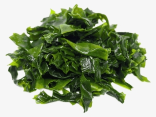 Download - Kleidung In Der Zukunft