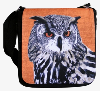 Hedwig, Bag With Owl - Plecstrums Owls Framed Guitar Pick Display Plectrums