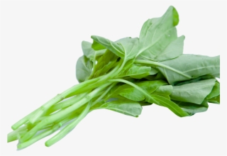 Chinese Spinach Png Image
