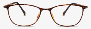 Tortoise - Glasses