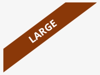 Raven Stealing The Sun Bracelet, Xl - Tan