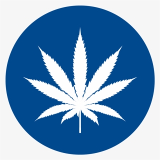 Stories To Watch In - Marijuana Icon