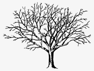 Clipart Tree - Big Black And White Tree