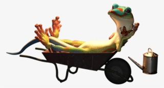 Gecko, Animal, Garden, Lazy, Laziness, Wheelbarrow - Gecko