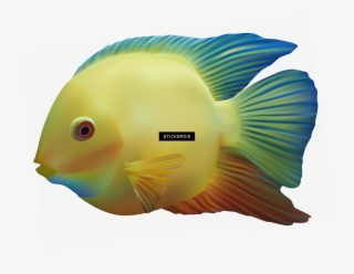 Fishing Rod Pole Sport - Portable Network Graphics