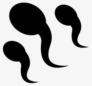 Png File - Sperm Vector Png