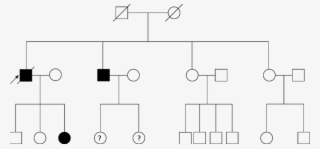 Pedigree Of 74 Year Old Man Affected By Gallbladder - Medicine