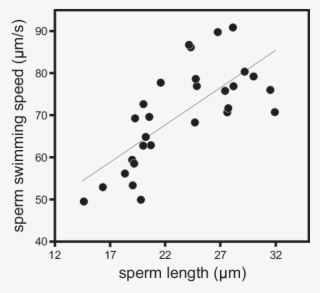 Relation Between Sperm Swimming Speed At - Degrees Of Freedom