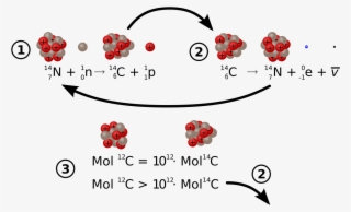 Image - Alpha Decay Of Carbon 12