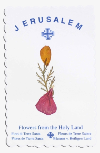 Dried Flower Cards - Postage Stamp