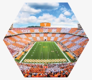 Networking - Neyland Stadium Orange And White