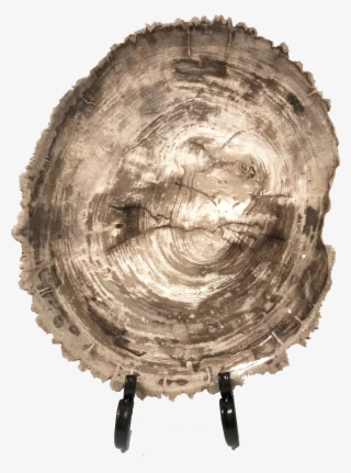 Paul Michael Company Exclusives Translation Missing