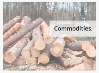 Commodities Forecast, Forest Products - Dms