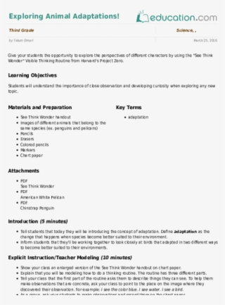 Exploring Animal Adaptations - Lesson Plan About Parts Of The Plants