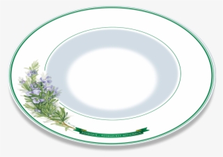 Gourmet And Pasta Plate Motif “rosemary” - Saucer