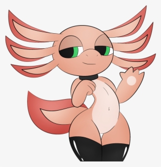 Author Comments - Axolotl