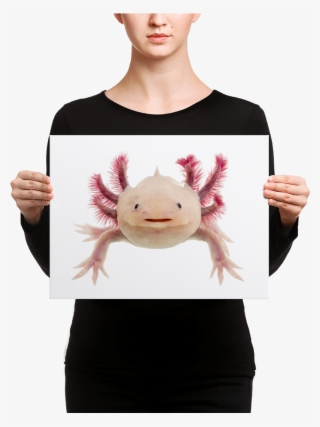 Axolotle Canvas - Black Mask Fawn French Bulldog Is Ready