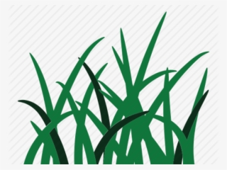 Weed Clipart Grass Root - Grass Icon Png