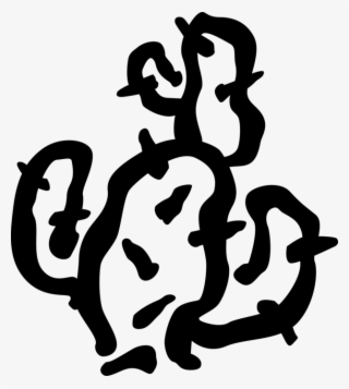 Vector Illustration Of Desert Vegetation Succulent - Illustration