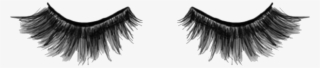 Eyelashes Png - Lashes Png