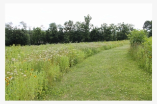 Churchview Park Is A - Field