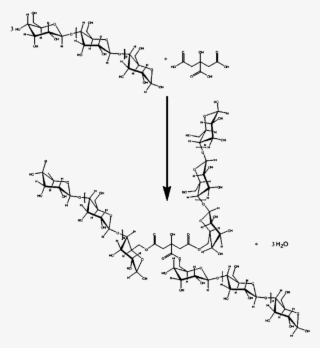 One Possible Polycondensation Reaction Between Maltodextrin - Condensation Reaction