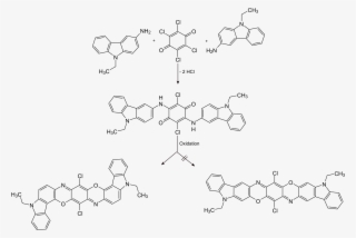 Ci Pigment Violet 23 Synthesis - Size?
