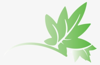 Png File Transparent Gradient Leaf Logo W/out Text - Jpeg