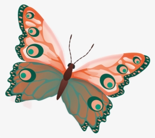 Butterfly Png Image Free Picture Download Pngimgcom - Silhouette Of Butterfly